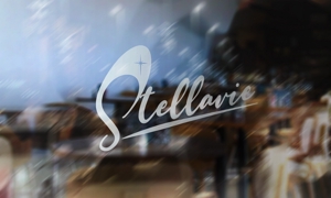 株式会社JBYインターナショナル (finehearts)さんの女性向け美容サロン「stellavie」のロゴへの提案