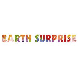 CHANA DESIGN (Chana)さんの「EARTH SURPRISE」のロゴ作成への提案