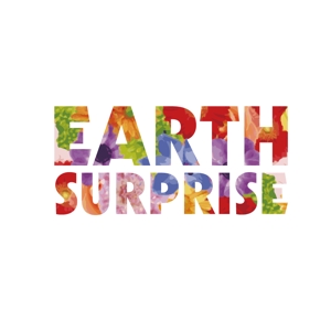 CHANA DESIGN (Chana)さんの「EARTH SURPRISE」のロゴ作成への提案