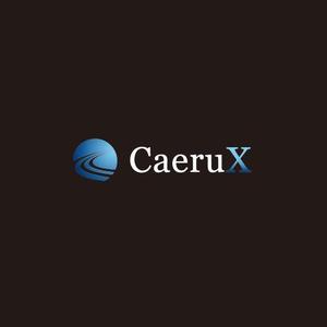 ヘッドディップ (headdip7)さんのシステム受託開発、研究/開発の会社「CaeruX」（読み：カイロクス）のロゴ作成依頼です。への提案