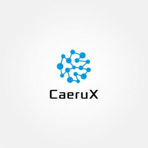 tanaka10 (tanaka10)さんのシステム受託開発、研究/開発の会社「CaeruX」（読み：カイロクス）のロゴ作成依頼です。への提案