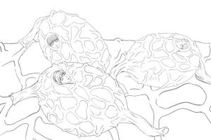 トーチャー (binka592)さんの魔人ブウに吸収された女性キャラのイラスト3への提案