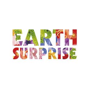 CHANA DESIGN (Chana)さんの「EARTH SURPRISE」のロゴ作成への提案