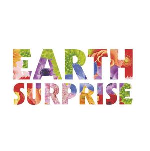 CHANA DESIGN (Chana)さんの「EARTH SURPRISE」のロゴ作成への提案