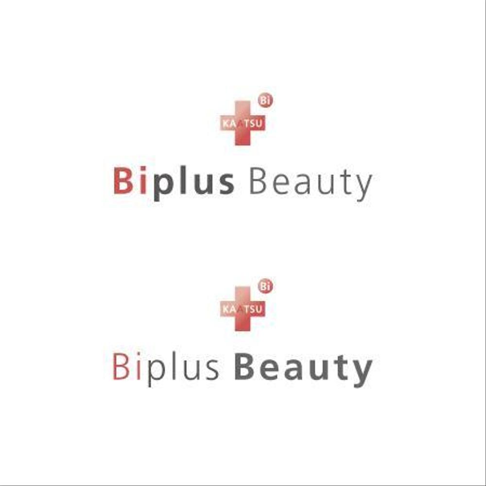 Biplus_03_04.jpg