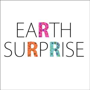taguriano (YTOKU)さんの「EARTH SURPRISE」のロゴ作成への提案
