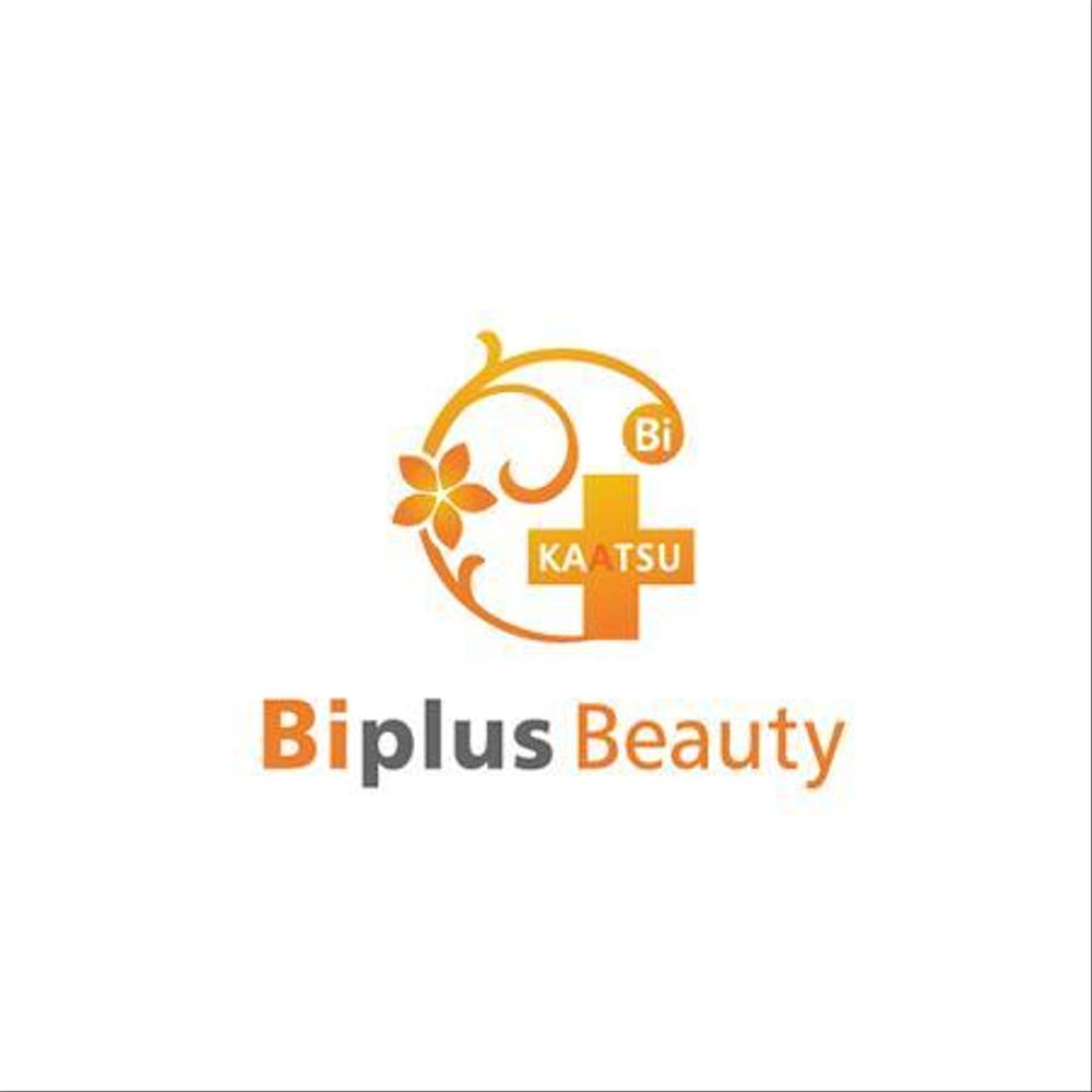 biplus01.jpg