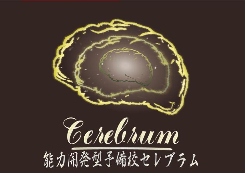 Cerebrum.jpg