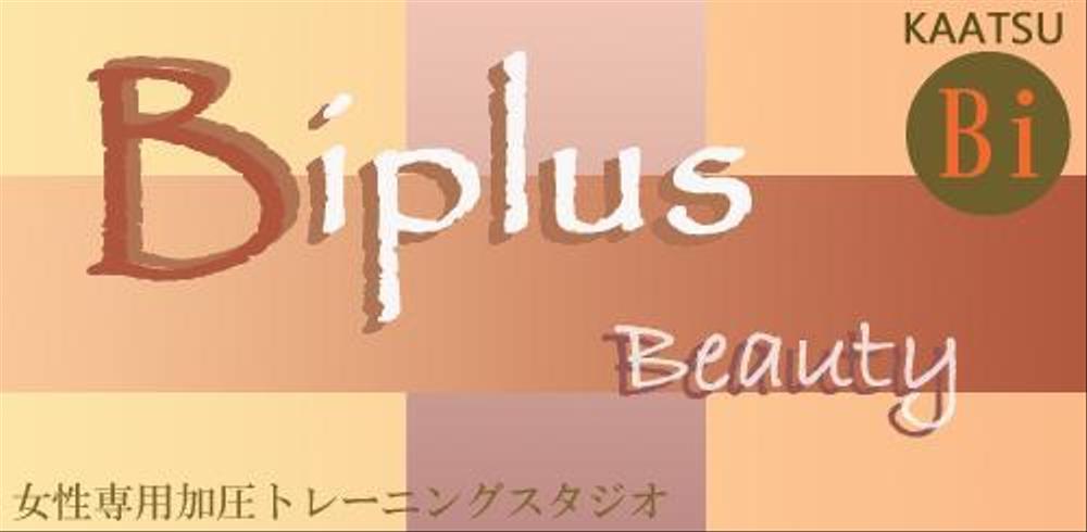 Biplus3.jpg