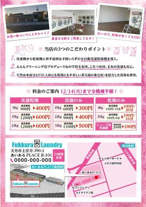 駿 (syuninu)さんのコインランドリーオープニングチラシへの提案