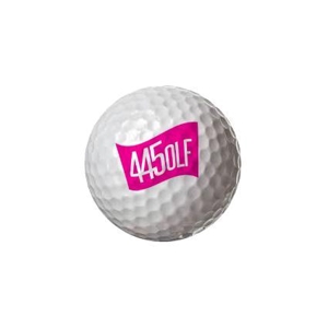 queuecat (queuecat)さんの女性参加限定ゴルフコンペ(445GOLF)のロゴのデザイン作成依頼 ヨンヨンゴルフへの提案