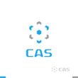 cas3-3.jpg