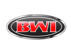 藪下竜児 (yaburyun)さんの「BWI」のロゴ作成への提案