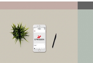 CHAMPION DESIGN9 (NickoCortez)さんのリフォーム会社「UPWARDS」のロゴへの提案