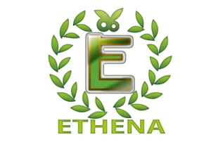 Lapiz Estudio　佐藤 (syunanoha)さんの「ETHENA」のロゴ作成（商標登録なし）への提案