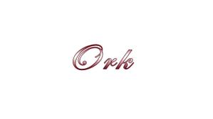 noriko (noriko_09)さんの新宿歌舞伎町「Ork」ロゴ製作への提案