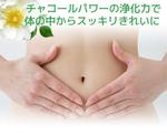 木村　道子 (michimk)さんの既存商品の商品紹介ページ（LP）の作成への提案