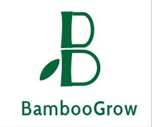 creative1 (AkihikoMiyamoto)さんのWEBショップ「BambooGrow」のロゴへの提案