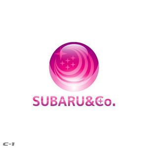 さんの「株式会社 SUBARU&Co.」のロゴ作成への提案