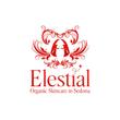 Elestial-2c.jpg