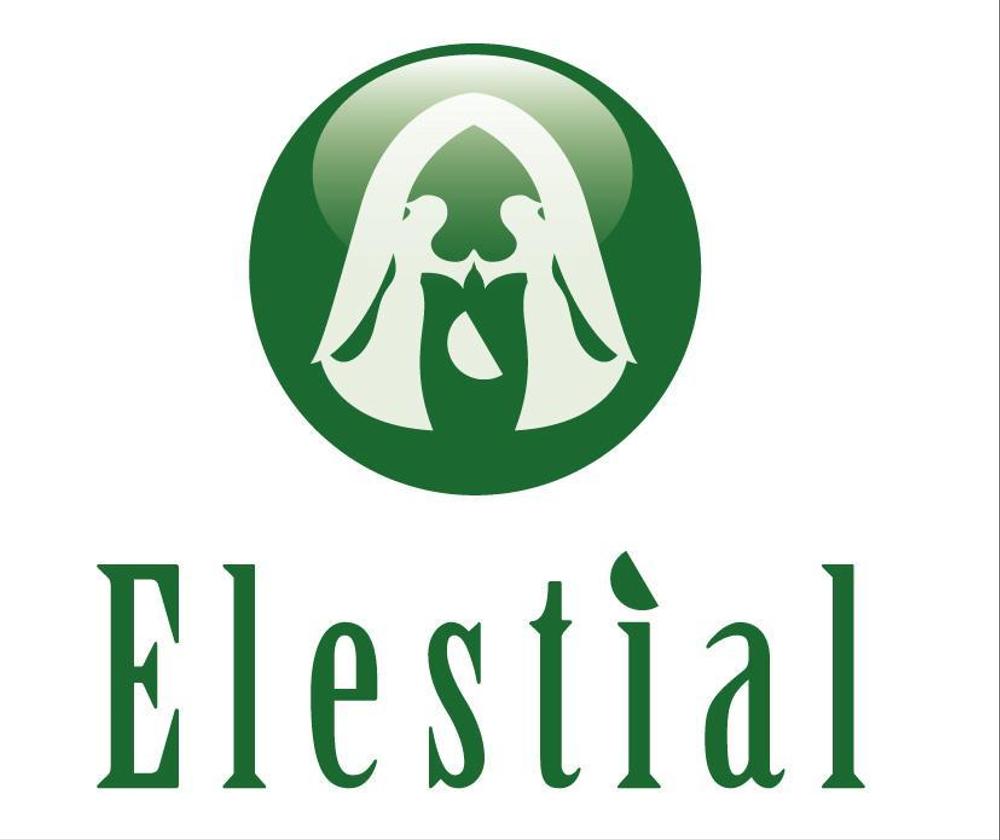 「Elestial」ロゴ＆マークのデフォルメ作業（商標登録なし）