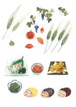 BOXTREE (BoxTree)さんのおしゃれな野菜のイラストへの提案