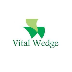 ＭＯＵ－ＫＡＮＥ (mou-kane)さんの個人事業の屋号『VitalWedge』のロゴ作成依頼への提案