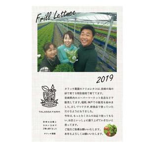 Harayama (chiro-chiro)さんの年賀状のデザインです。への提案
