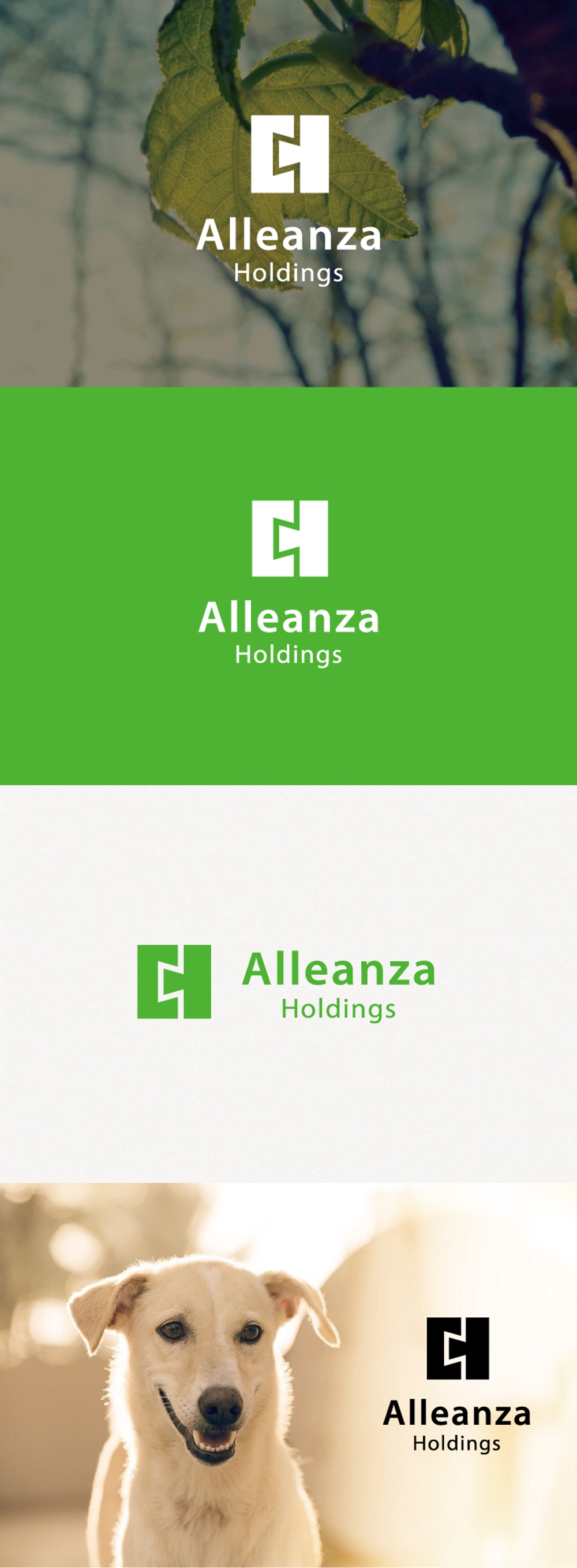 アレンザホールディングス株式会社「Alleanza Holdings」の会社ロゴマーク