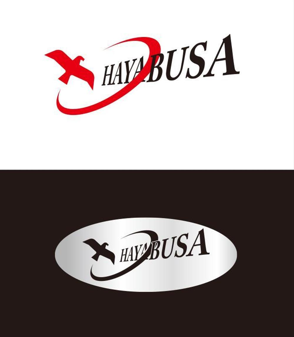 HAYABUSA logo_serve.jpg