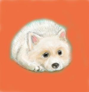 小田　一郎 (ichannel16)さんの動物のイラストへの提案