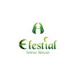 Elestial-41a.jpg