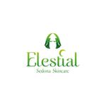 K&K (illustrator_123)さんの「Elestial」ロゴ＆マークのデフォルメ作業（商標登録なし）への提案