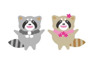 nora-mie ()さんのレッサーパンダのキャラクターデザインへの提案