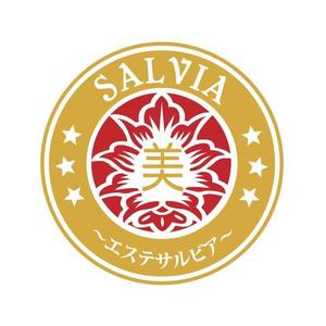 ヨピスヨレットルジェ (Roger_Llopis)さんの「美　Ｓａｌｖｉａ　～エステサルビア～」のロゴ作成への提案