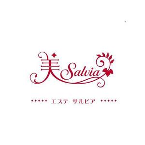 ナカムラ*コウ (studioWB)さんの「美　Ｓａｌｖｉａ　～エステサルビア～」のロゴ作成への提案