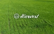 harvest3_1.jpg