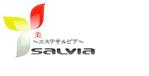 テクスパーク_frankman603 (frankman603)さんの「美　Ｓａｌｖｉａ　～エステサルビア～」のロゴ作成への提案