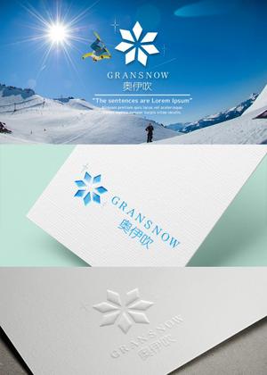 conii.Design (conii88)さんのスキー場ランキング全国１位　スキー場の新名称　ロゴ制作への提案