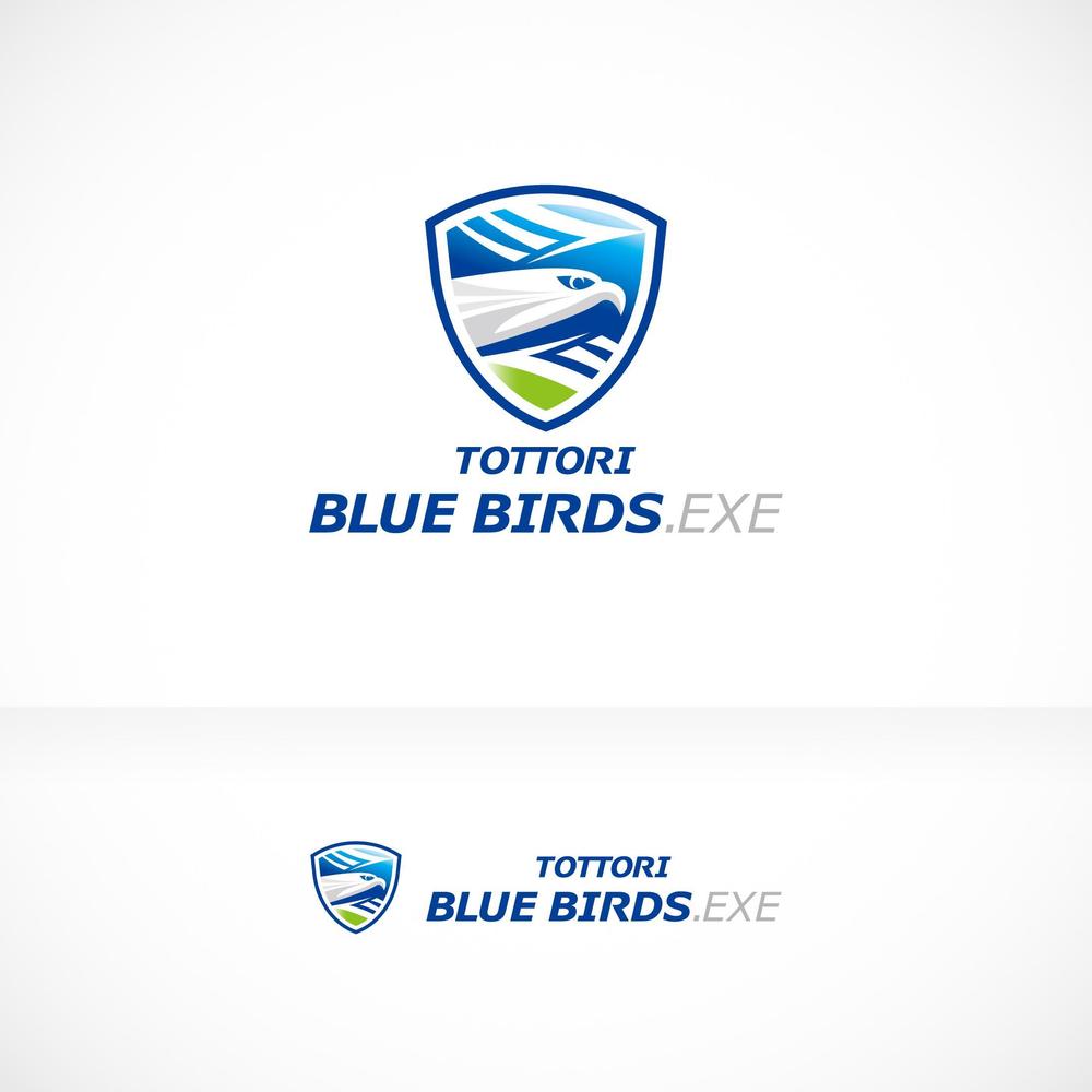 BLUEBIRDS_plan_a01.jpg