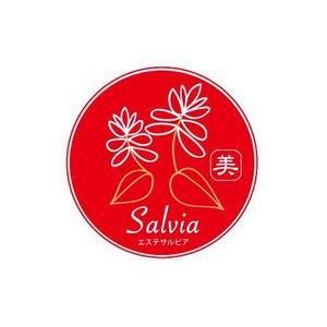 hikarinoshimaさんの「美　Ｓａｌｖｉａ　～エステサルビア～」のロゴ作成への提案