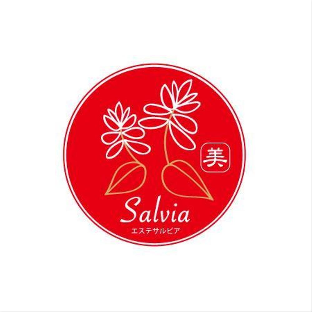 salivia_05.jpg