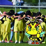 tell_mokichi (tell_mokichi)さんのサッカーチーム 蜂のキャラクターデザインへの提案