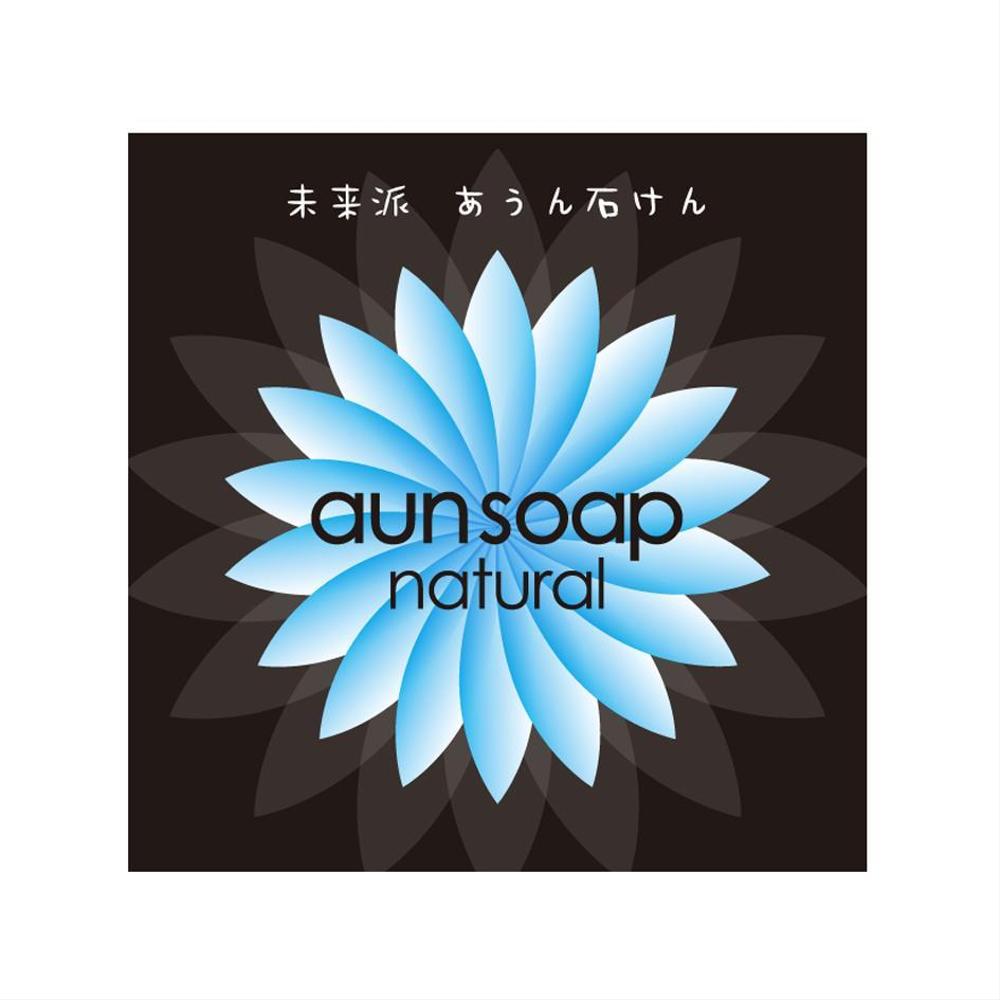 aun soap-1.jpg