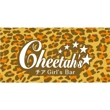 チアGirl's Bar Cheetah'ｓ ５.jpg
