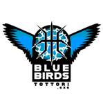 SANAS (SANAS)さんのプロバスケットボールチームのロゴ作成への提案