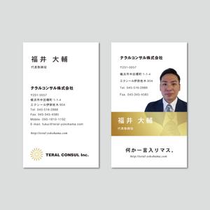 TYPOGRAPHIA (Typograph)さんの不動産会社「テラルコンサル株式会社」の名刺デザインへの提案