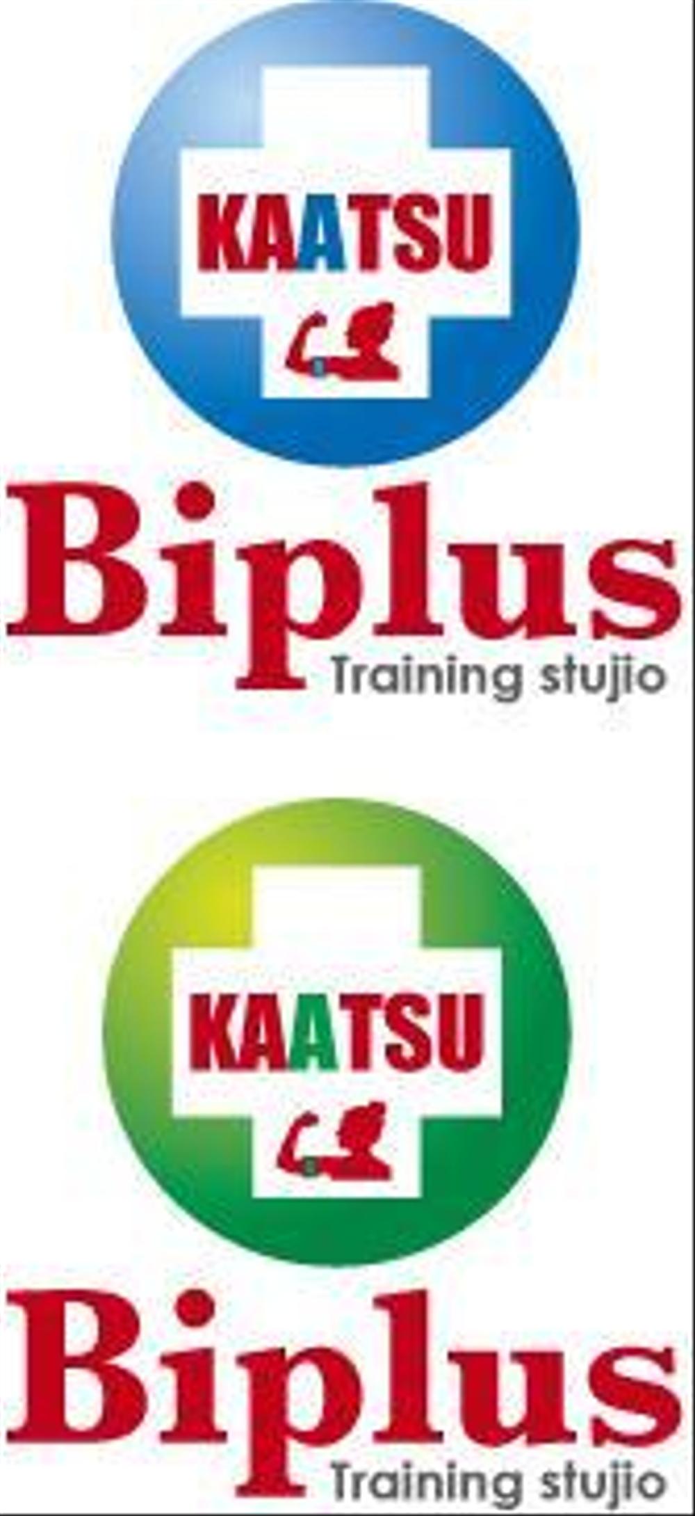 biplus2.jpg