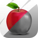 ワタナベショージ (shochop)さんのスマートフォンアプリ用アイコンのデザインと製作(早期終了する可能性があります)への提案