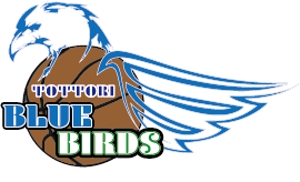 8Bird (jinjin_001)さんのプロバスケットボールチームのロゴ作成への提案